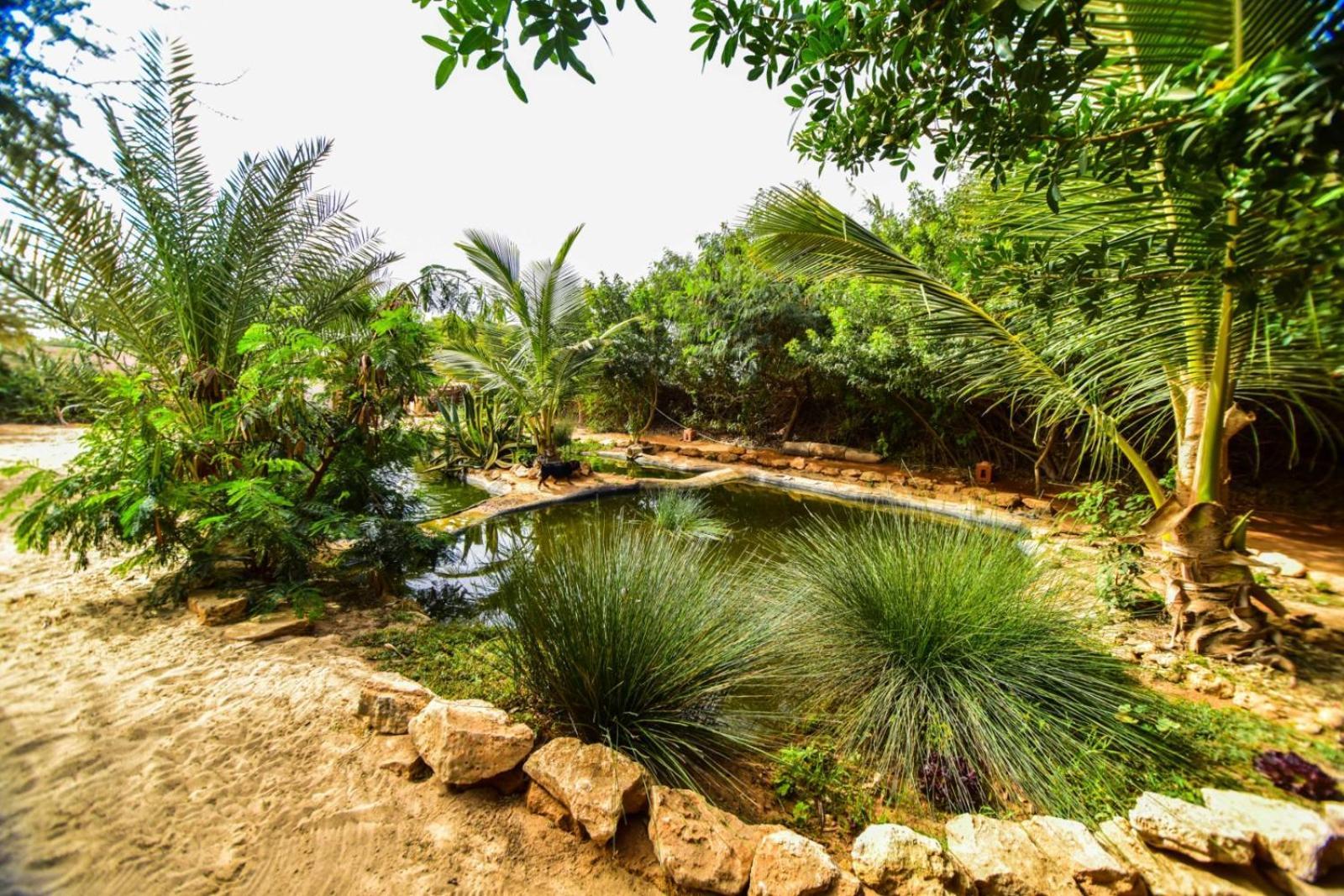 Dar Tawarta Guest House الدخلة المظهر الخارجي الصورة