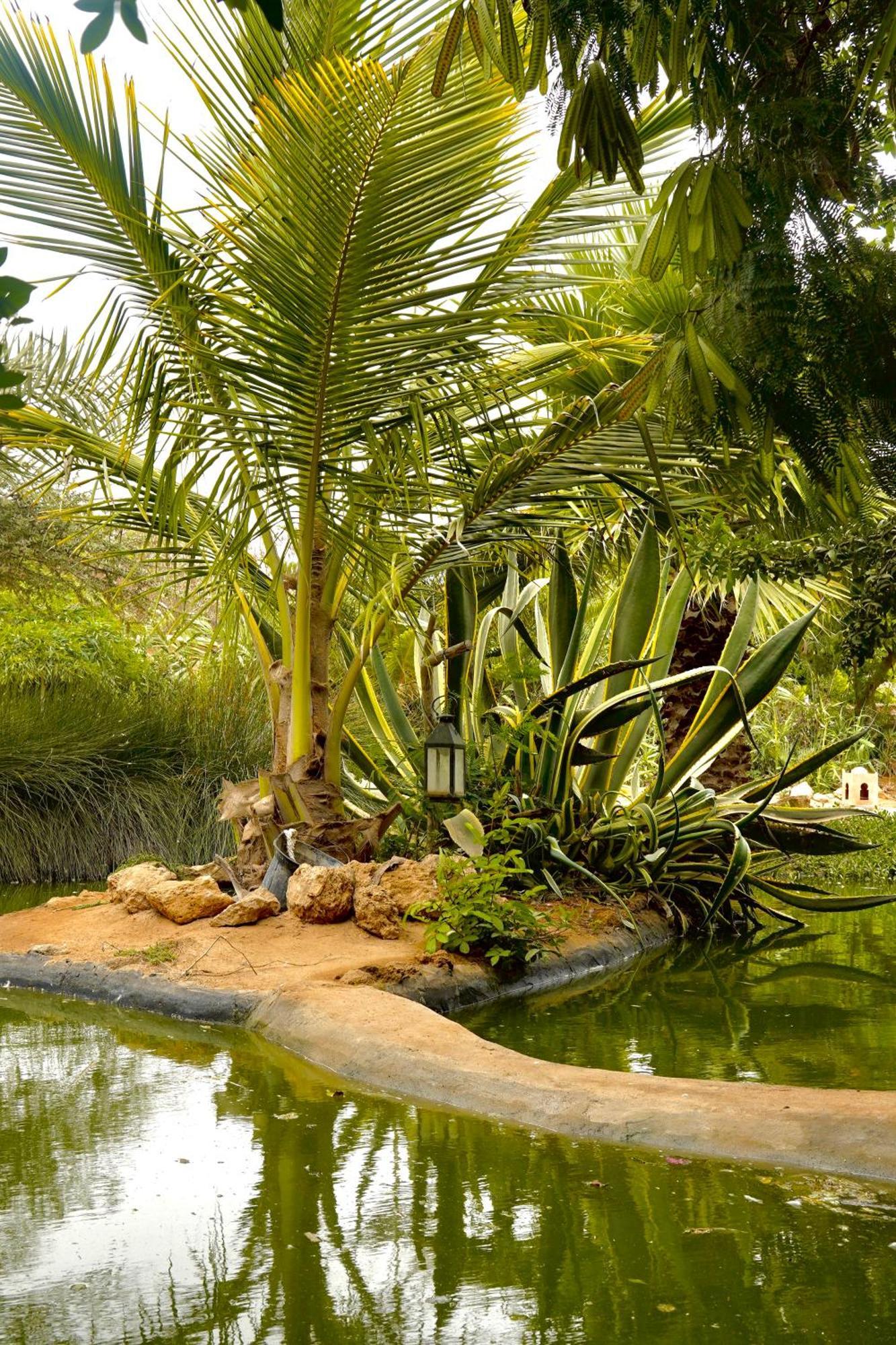 Dar Tawarta Guest House الدخلة المظهر الخارجي الصورة